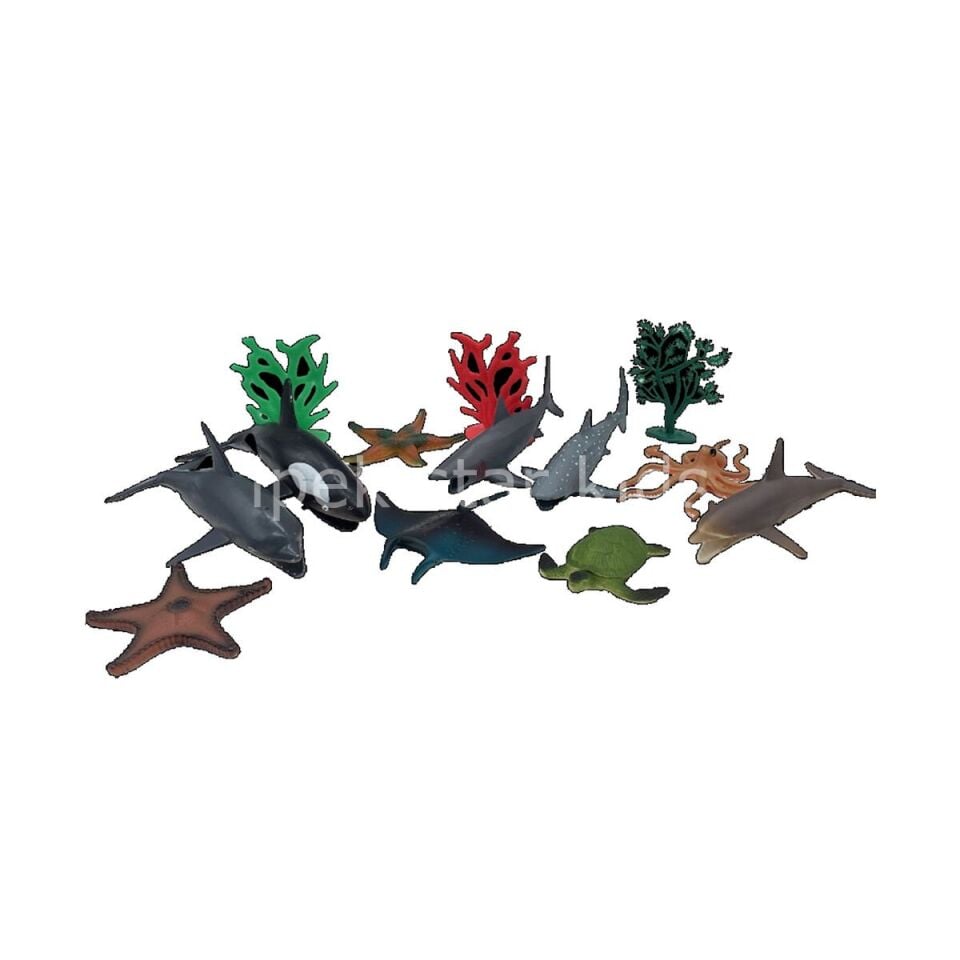 13PCS OKYANUS HAYVANLARI 2LİTRE