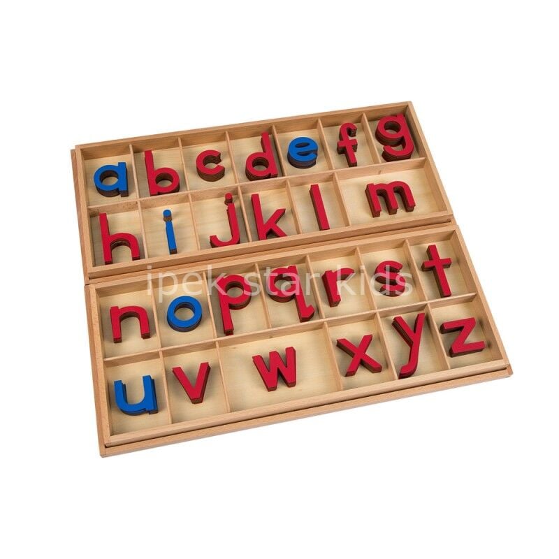 Montessori Hareketli Alfabe – Küçük Harfler | Okuma Yazma Hazırlık Seti