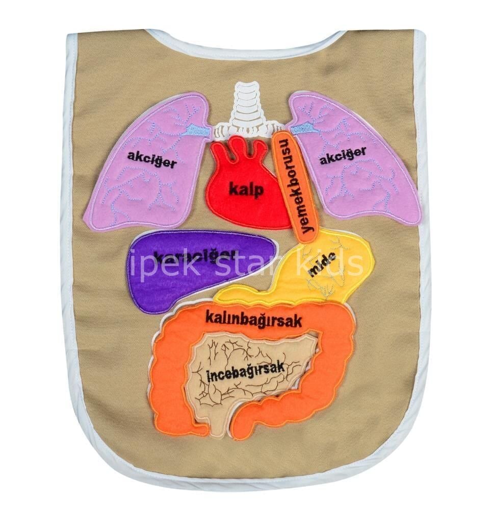 Kumaş Organlar Önlüğü | Eğitici İnsan Vücudu Giysisi